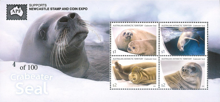 AAT Crab Eater Seal Overprint