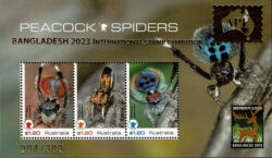 Peackcock spiders miniature sheet